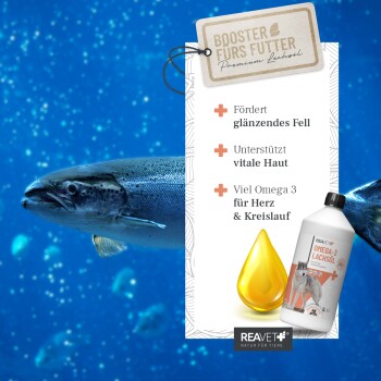 Etikett für REAVET Omega-3 Lachsöl, mit einem Wolf, mit Details zu den Vorteilen für Gelenke, Herz und Haut sowie Anwendungshinweisen.