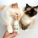 Eine Flasche SmoothieCat-Kaninchenleckerei für Katzen, gekennzeichnet als 100% natürlich und kalorienarm, für Futtertopping und Hydration.