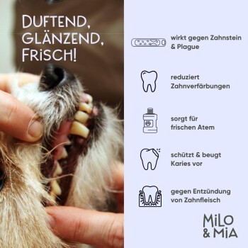 Die Dose "Daily Bites Dental Care" von Milo & Mia hebt Vorteile hervor: Wirksamkeit, Bioverfügbarkeit, Benutzerfreundlichkeit und Geschmack.
