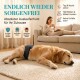 Ein Deutscher Dogge ruht auf einer grauen Matte neben einem sitzenden Baby in einem weißen Shirt und grauen Hosen, mit einer hellen Couch im Hintergrund.
