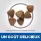 Six croquettes triangulaires pour animaux de compagnie sur un fond clair avec le texte : "UN GOÛT DÉLICIEUX" et "Taille approximative 4,5 x 8,5 mm."