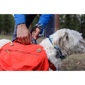 Eine Person, die eine Leine an einen kleinen weißen Hund mit einem bunten Geschirr und einem leuchtend roten Rucksack in einem bewaldeten Gebiet befestigt.