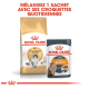 L'emballage Royal Canin montre de la nourriture sèche pour chat Norvégien et de la nourriture humide Intense Beauty, promouvant leur combinaison.