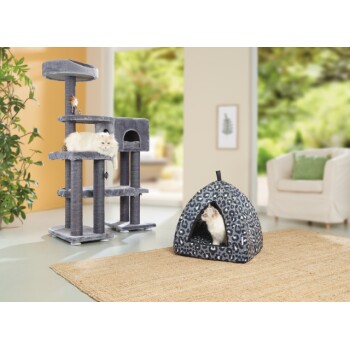 Pièce avec un arbre à chat gris à plusieurs niveaux, un chat blanc qui se prélasse et un dôme-lit imprimé léopard avec un autre chat à l'intérieur.