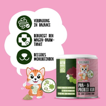 Katzensupplement-Dose mit der Aufschrift "Prä & Probio Kur für Katzen" im grünen Leopardenmuster, unterstützt die Verdauung und die Immunabwehr.