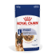 Royal Canin Maxi Ageing Hundefutterbeutel, 140g, mit Stückchen in Soße, geeignet für Hunde über 5 Jahre, mit einem Deutschen Schäferhund auf der Vorderseite.
