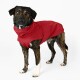 Regenmantel Duke Rot XS