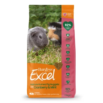 Burgess Excel bag: Mature Guinea Pig Nuggets with Cranberry & Mint, 1.5kg, photo of two guinea pigs, '92% of vets recommend'