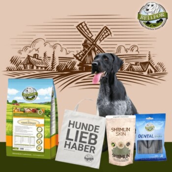 Deutsch Drahthaar Futter Set