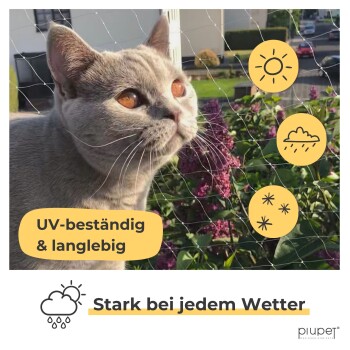 Graue Katze hinter Balkon-Schutznetz bei lila Blumen; sichtbarer Text „UV-beständig & langlebig“ und „Stark bei jedem Wetter“ mit Wetter-Icons