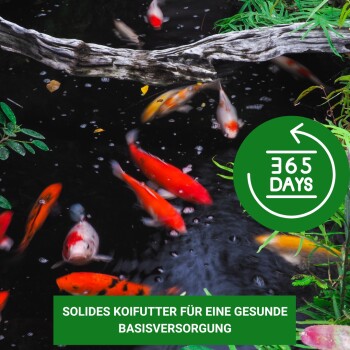 Bunte Koi-Fische in einem Teich mit einem grünen Banner, das "SOLIDES KOIFUTTER" liest, und einem runden "365 DAYS"-Symbol.