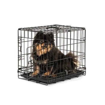Schwarze Metall-Haustierbox mit offener Tür und herausnehmbarem Kunststofftablett am Boden, entworfen für die Unterbringung von Hunden oder Katzen.