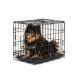 Schwarze Metall-Haustierbox mit offener Tür und herausnehmbarem Kunststofftablett am Boden, entworfen für die Unterbringung von Hunden oder Katzen.