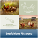 Hühner und Hähne auf einem Feld mit deutschem Text über Fütterungs- und Mineralstoffempfehlungen.