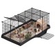 Schwarzer Drahtkäfig für Meerschweinchen mit drei Meerschweinchen, Futternapf, Wasserflasche, Heu und Holzhöhle, Vordertür offen.