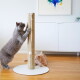 Graue Katze stellt sich zum Kratzen an einen hohen Sisalpfosten mit hängendem Seilspielzeug; eine cremefarbene Katze liegt auf der weißen Basis im Wohnzimmer.