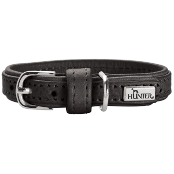 Schwarzes Leder-Hundehalsband mit silberner Schnalle und D-Ring, gesteppter Einfassung und Metallplakette mit der Aufschrift 'HUNTER'.