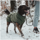 Ein mittelgroßer Hund trägt einen dunkelgrünen Fleece-Mantel mit schwarzem Rand und steht vor einem schlichten weißen Hintergrund.