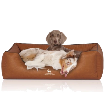 Ein kleiner, flauschiger Hund sitzt bequem in einem stilvollen braunen Haustierbett mit dem Logo "KNUFFELWUFF", das prominent auf der Vorderseite angezeigt wird.