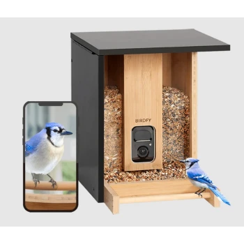 Futterautomat Bamboo AI im Abonnement + Solarpanel Ein "BIRDFY" Vogelhaus mit Kamera, gefüllt mit Samen, zeigt einen Blauhäher, der auf der Seite sitzt, und ein Smartphone, das sein Bild zeigt.