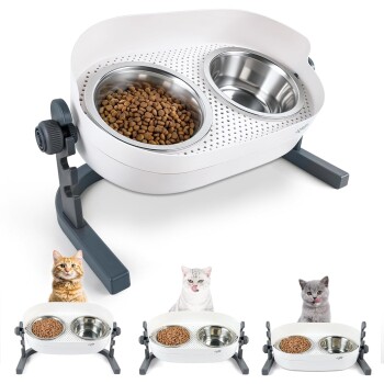Erhöhte, verstellbare weiße Futterstation mit zwei Edelstahlnäpfen (einer mit Trockenfutter), grauem Ständer; drei Katzen darunter abgebildet.