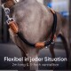 Eine Nahaufnahme des Körpers eines Hundes mit einer schwarzen und braunen verstellbaren Leine. Der Text lautet "Flexibel in jeder Situation, 2m lang & 3-fach verstellbar."