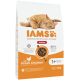 IAMS Indoor Katzenfutterbeutel mit liegendem orangefarbener getigerter Kater, 'IAMS'-Logo, 'Indoor', 'Mit frischem Huhn', ab 1 Jahr, 10 kg.