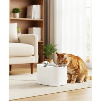 Orange getigerte Katze trinkt aus einem weißen ASTROPET-Wasserbrunnen auf einem beigen Teppich in einem Wohnzimmer.