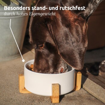 Ein brauner Hund frisst aus einer weißen Schüssel mit Holzbeinen, begleitet von Text, der seine Stabilität und sein Gewicht hervorhebt.