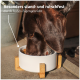 Ein brauner Hund frisst aus einer weißen Schüssel mit Holzbeinen, begleitet von Text, der seine Stabilität und sein Gewicht hervorhebt.