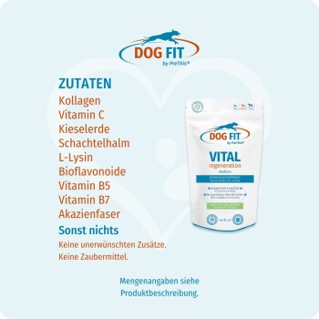Dog FIT VITAL regeneration Beutel und deutsche Zutatenliste (ZUTATEN: Kollagen, Vitamin C, Kieselerde... sonst nichts)