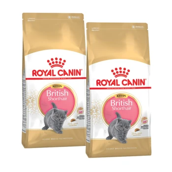 Zwei Beutel Royal Canin Kittenfutter für Britisch Kurzhaar Katzen, mit einem grauen Kätzchen auf der Verpackung und einem goldenen Kronenlogo.