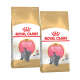 Deux sacs de nourriture pour chatons Royal Canin pour chats British Shorthair, présentant un chaton gris sur l'emballage et un logo de couronne dorée.