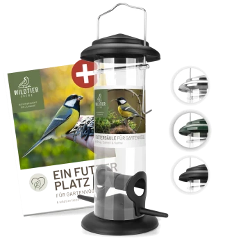 Ein Vogelhaus mit der Aufschrift "Futtersäule für Gartenvögel" und Bildern einer Kohlmeise, mit einem transparenten Rohr, schwarzem Deckel und Basis.