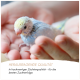 Nahaufnahme von gemischtem Vogelsand mit dem Text "SUPRA - GRITMINERAL Ergänzungsfutter für Vögel aller Rassen" und einer schwarzen Vogelsilhouette.