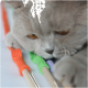 Katzenpfote, die nach drei Holz-Spielangel-Stäben mit gestrickten Überzügen in Orange, Grün und Lila auf einer weißen Fläche greift.