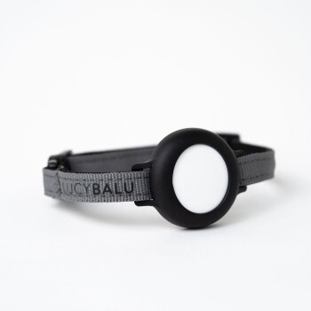 Ein graues Haustierhalsband mit einem schwarzen runden Etikett, das mit "LUCYBALU" beschriftet ist, mit einem glatten weißen Zentrum, vor einem weißen Hintergrund.