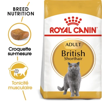 British Shorthair Adulte Croquettes Chat 400 g Sac de nourriture pour chats Royal Canin Adult British Shorthair avec un chat British Shorthair gris, avec un texte mettant en avant la nutrition de la race et le tonus musculaire.