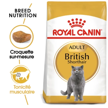 Sac de nourriture pour chats Royal Canin Adult British Shorthair avec un chat British Shorthair gris, avec un texte mettant en avant la nutrition de la race et le tonus musculaire.
