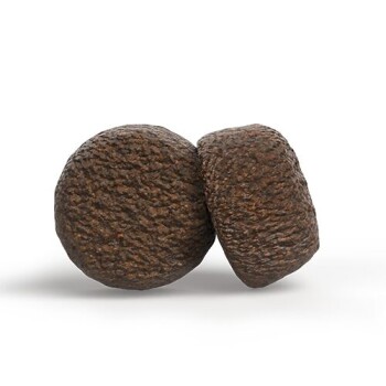 Zwei Stücke runde, strukturierte braune trockene Hundetrockenfutter-Kroketten auf weißem Hintergrund.