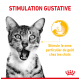Gros plan d'un chat tigré surpris avec la bouche ouverte, avec le texte "STIMULATION GUSTATIVE" et un graphique de stimulation du goût.
