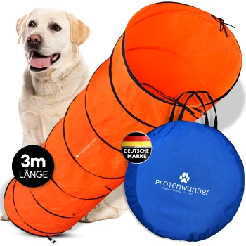 Ein glücklicher weißer Hund sitzt in einem hellorangefarbenen Tunnel auf grünem Gras und lächelt mit herausgestreckter Zunge in einer sonnigen Umgebung.