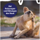 Hellbrauner Hund kratzt sich draußen am Ohr; blauer Kreis mit dem Text 'Bei Reizungen und Rötungen der Haut'