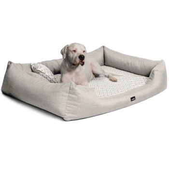 Großes graues rechteckiges Hundebett mit gemustertem Kissen und Polster, in dem ein hellfarbiger Hund liegt.