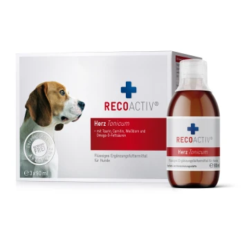 ® Herz Tonicum 3x90ml Ein Beagle schaut auf eine Flasche und eine Box von RECOACTIV Herz Tonicum, einem flüssigen Nahrungsergänzungsmittel mit Taurin und Omega-3-Fettsäuren.