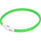 Grünes Silikon-Haustierhalsband mit einer weißen LED-Lichtsteuerung, mit dem Markennamen "AniOne."