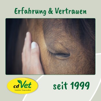 Eine Nahaufnahme einer Hand, die sanft das Auge eines braunen Pferdes berührt, mit dem Text 'Erfahrung & Vertrauen seit 1999' und dem cdVet-Logo.