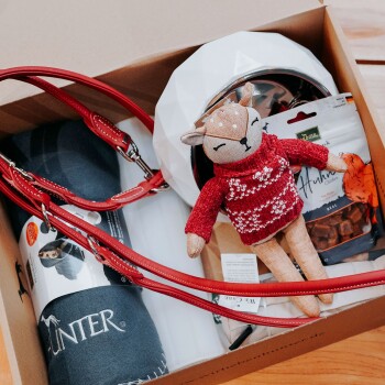 Ein Karton hält eine rote Haustierleine, eine graue "HUNTER" Decke, eine weiße Schale, ein Plüsch-Rehspielzeug in einem roten Pullover und Hühner-Hundeleckerlis.