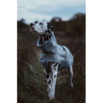 Ein Dalmatiner, der einen hellgrauen Hundemantel mit hohem Kragen trägt, steht auf einem grasbewachsenen Feld und schaut gegen einen bewölkten Himmel.
