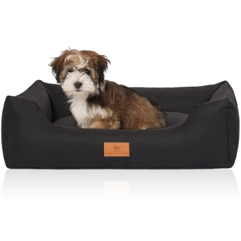 Ein kleiner, flauschiger Welpe mit braunem und weißem Fell sitzt bequem in einem schwarzen Hundebett, das ein Lederetikett mit der Aufschrift "KNUFFELWUFF" trägt.